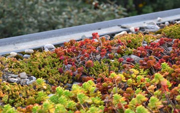 the cost of Badcall green roof installation