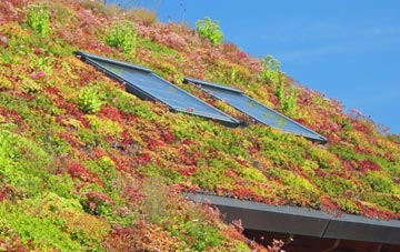 Badcall living roof systems
